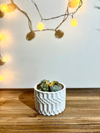 Didelė, vazonėlio formos žvakė indelyje